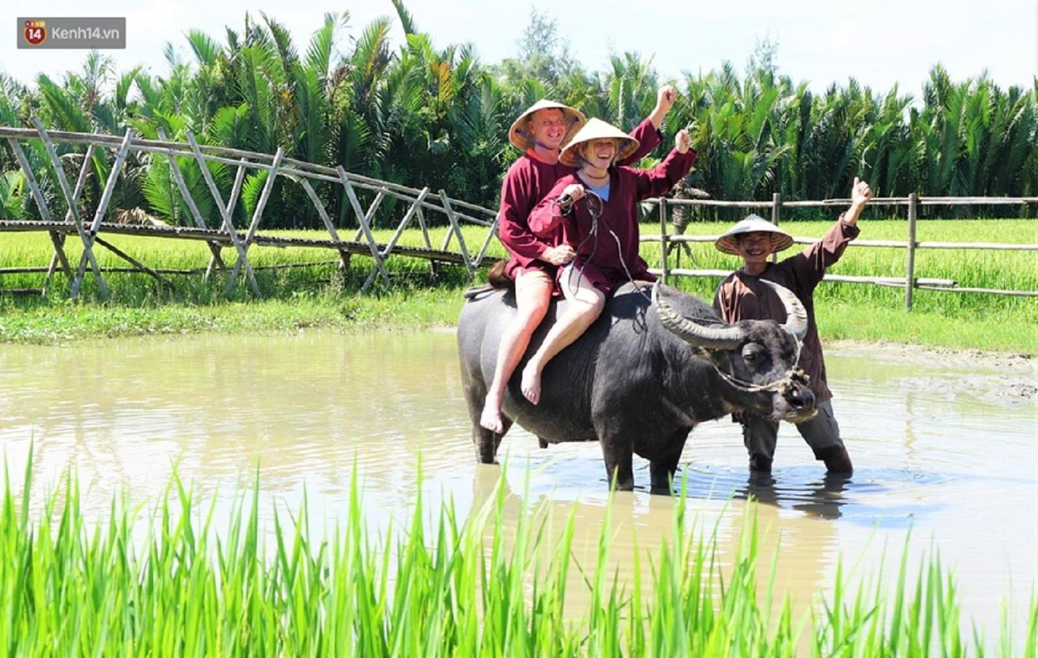 Tam Coc Sunshine Hostel Vu Lam Exteriér fotografie